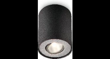 Philips Pillar opbouwspot - 1-lichts - zwart