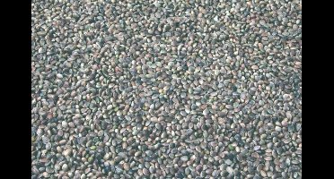 Wielink Kempzaad/Hennepzaad 15 kg