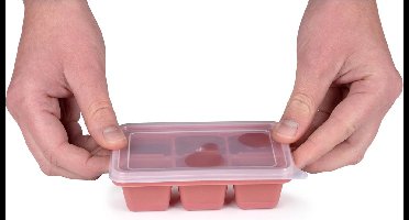 Alpina IJsblokjesmakerset mini 3-delig 12x2x7cm