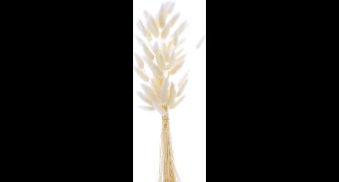 Boeket van gedroogde bloemen Artemio