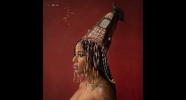 Aja Monet - When The Poems Do What They Do (2 LP) (Reissue)