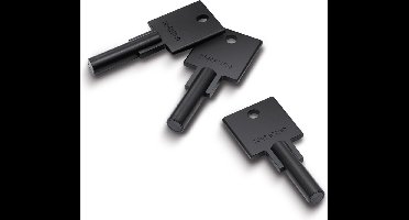 Netatmo Elektrisch deurslot - Slimme Sleutels - 3 sleutels - NFC-sleutel - Silver