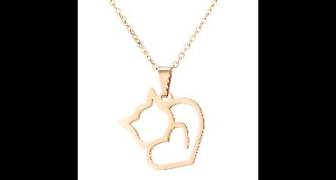 Gading® dames ketting met kat hanger-goudkleurig -43cm-RVS ketting