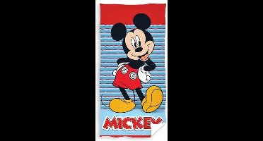 Disney Strandlaken - 70x140 cm - Multi