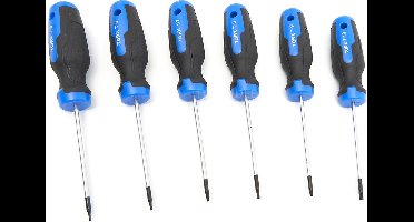 HBM 12 Delige Professionele Torx Schroevendraaierset in Stevige Opbergetui