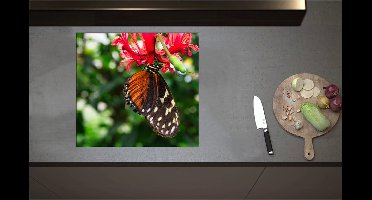 Inductieplaat Beschermer - Bruin met Zwarte Vleugels van Vlinder op Rode Bloeiende Bloem - 59x55 cm - 2 mm Dik - Inductie Beschermer - Bescherming Inductiekookplaat - Kookplaat Beschermer van Zwart Vinyl