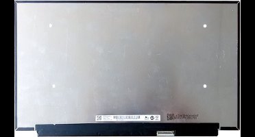 LCD Scherm geschikt voor Medion Erazer X15803 (144Hz)