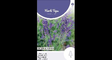 Hortitops - Echte Lavendel - Lavandula Officinalis