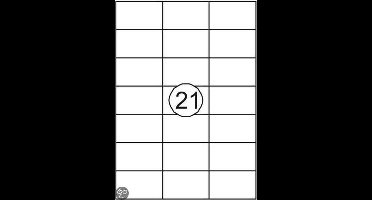 Etiket Quantore 70X42.4Mm 2100St