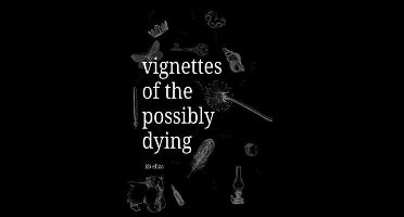 Vignettes of the Possibly Dying