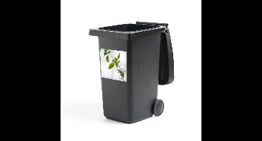 Container sticker Palingkruid - Eenzame tak van oregano in een glazen pot in een lichte omgeving Klikosticker - 40x40 cm - kliko sticker - weerbestendige containersticker