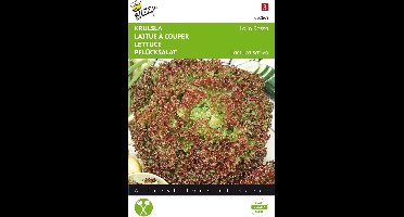 Buzzy® Krulsla Lollo Rossa