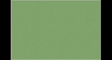 Fotokarton Folia lichtgroen - A4 300gr pak 50 vel