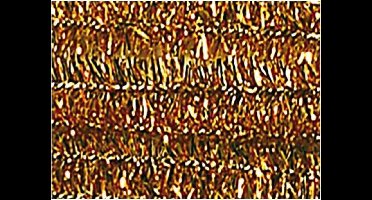 Chenilledraad Folia 50cm lang - 10 stuks goud