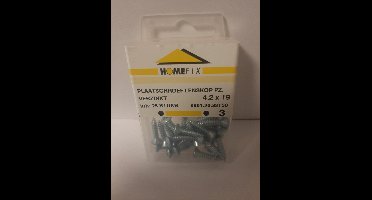 Homefix Plaatschroef Lenskop PZ