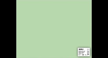 APLI  Smaragdgroen Karton 50 x 65 cm 170 g/m² - 25 vel
