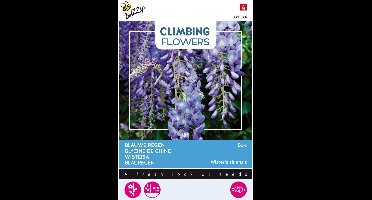 Buzzy  Flowering Climbers Wisteria Bloemzaad - Blauw