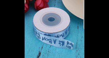 It's a boy lint (10 meter) | Babyshower/Geboorte Decoratie