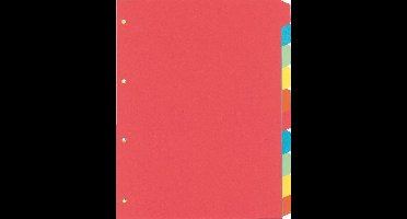 25 x Tabbladen Kangaro * 4-gaats * 10-delig * assorti * beschrijfbaar karton * PE410