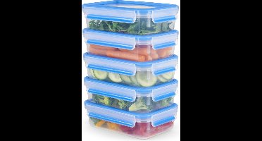 Tefal MasterSeal Fresh N1030710 Mealprep Vershouddozenset - 5x 0,8L - 100% Lekvrij - Vershoudbakjes - Magnetronbestendig
