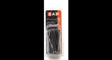 SAM Nagel platte kop 3x65mm ca, 130 gr. 815030 D1