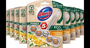 Glorix Power 5 Wc Blok Eco Tangerine - 9 stuks - Voordeelverpakking