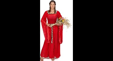 Vegaoo - Middeleeuws fluweelachtig dame kostuum voor vrouwen