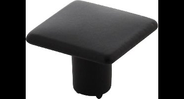Intersteel Meubelknop vierkant 26 x 26 mm mat zwart