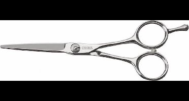 Sinelco Cisoria Class S60 Rechte Schaar 6