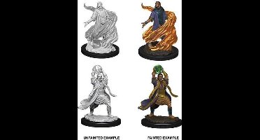 Nolzur's - Male Elf Sorcerer
