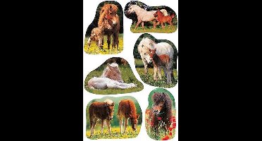 Haza Original Etiketten Paarden Junior 3 Vellen