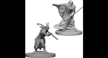 Asmodee D&D Miniatures Elf Male Druid - EN