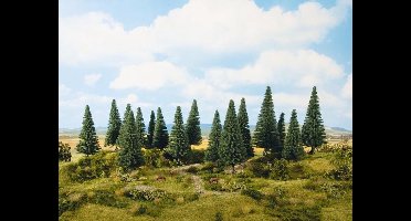 NOCH 0024642 Set bomen Zilverspar 140 tot 180 mm Donkergroen 6 stuk(s)