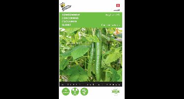 2 stuks - Buzzy - Komkommers Fidelio F1 Meeldauwresistent