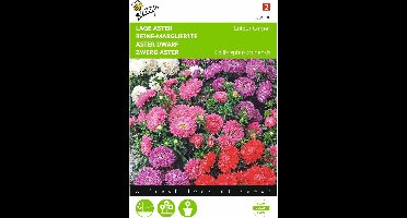 2 stuks Callistephus, Lage Aster Colour Carpet
