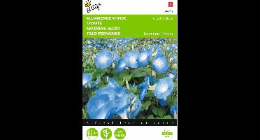 2 stuks - Buzzy - Ipomoea Tricolor Rubro C. Clark S Blue
