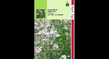 2 stuks - Hortitops - Duizendblad