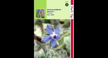 2 stuks Hortitops Komkommerkruid Borage