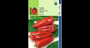 2 stuks - Hortitops - Paprika Atris Hybride F1 Rode Koehoorn