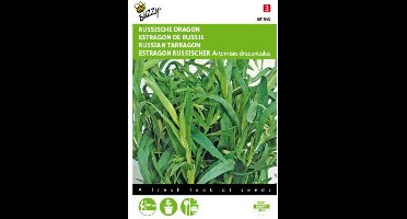 2 stuks Russische Dragon (Artemisia dracunculus)