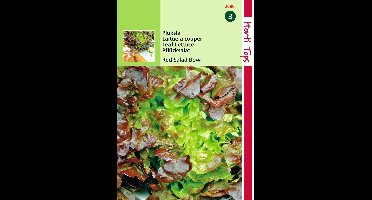 2 stuks Hortitops Red Salad Bowl Rode Eikenbladsla