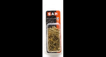 SAM Nagel platte kop 1,6x25mm 100 stuks