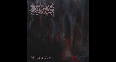 Ritual Mass - Cascading Misery (CD)