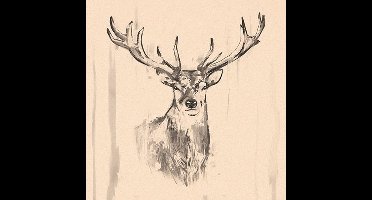 Papstar - Servetten - 33 cm - 3-laags - Colourful Deer - 20 stuks