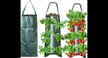 DailySupplies® Aardbeien Kweekbakken - Aardbeienpot - Plantentoren