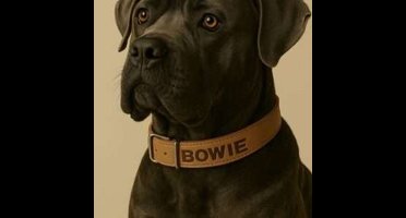 Gepersonaliseerde naturel softleren hondenhalsband- 25mmx55cm-Animal King