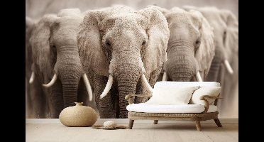 Vliesbehang Fotobehang - Majestic Elephant Parade - 250x200 centimeter