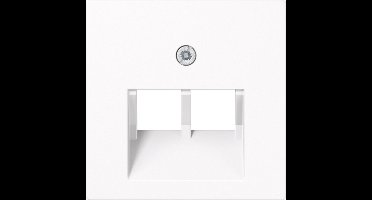 Jung AS500 Insteekplaat Schakelmateriaal - A569-2BFPLUAWW - E2K8Z