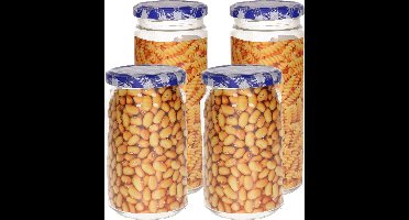 Plasticforte Weckpotten/inmaakpot set Classic - 2x - 450/650 ml - kunststof - draaideksel - blauw