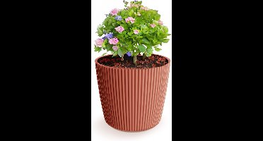 Prosperplast Plantenpot/bloempot Buckingham - buiten/binnen - design kunststof - steenrood - D14 x H13 cm
